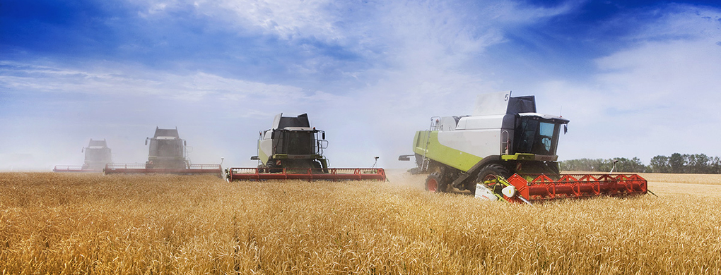 ��: ���������� �������������������� ������������